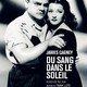 photo du film Du Sang dans le soleil