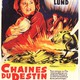 photo du film Chaînes Du Destin