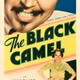 photo du film The Black Camel