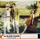 photo du film The Black Camel