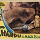 photo du film The Return Of Chandu