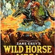 photo du film Wild Horse Mesa