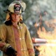 photo du film Wilder Napalm