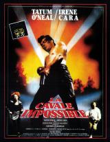 voir la fiche complète du film : La Cavale Impossible