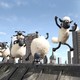 photo du film Shaun le mouton - le film