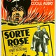 photo du film La Rose Noire