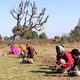 photo du film Permaculture, la voie de l'autonomie