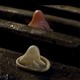 photo du film Killer Condom
