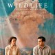 photo du film Wildlife : une saison ardente