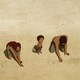 photo du film La Tortue rouge
