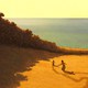 photo du film La Tortue rouge
