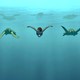 photo du film La Tortue rouge
