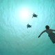 photo du film La Tortue rouge