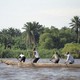 photo du film Congo River, Au-dela Des Ténèbres