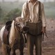 photo du film Ned