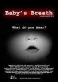 Baby s Breath