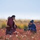 photo du film Les Racines du monde