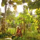 photo du film The Look of Silence