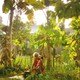photo du film The Look of Silence