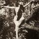 photo de Annette Kellerman