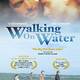 photo du film Walking on Water