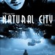 photo du film Natural City