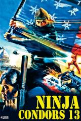 voir la fiche complète du film : Ninjas, Condors 13