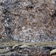 photo du film La Panthère des neiges
