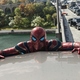 photo du film Spider-Man : No Way Home