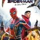 photo du film Spider-Man : No Way Home