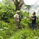 photo du film Jumanji : Next Level