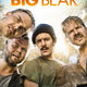 photo du film Big Bear