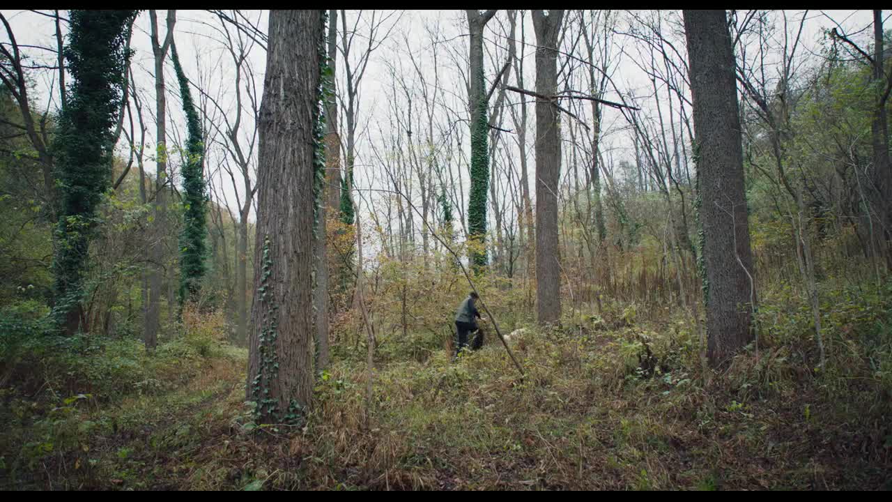 Extrait vidéo du film  Chasseurs de truffes