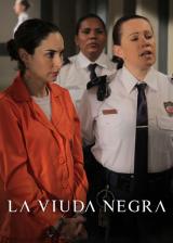 La Viuda Negra