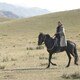 photo du film Les Voleurs de chevaux