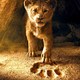 photo du film Le Roi Lion