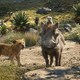 photo du film Le Roi Lion