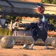 photo du film Manou à l'école des goélands