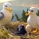 photo du film Manou à l'école des goélands