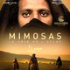 photo du film Mimosas, la voie de l'Atlas