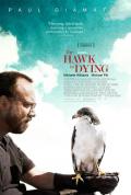 voir la fiche complète du film : The Hawk is dying