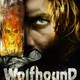 photo du film Wolfhound, l'ultime guerrier