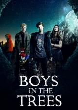 voir la fiche complète du film : Boys in the Trees
