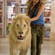 photo du film Mia et le lion blanc