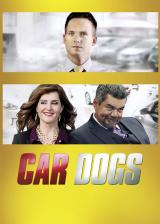 Car Dogs