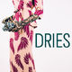 photo du film Dries