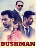 voir la fiche complète du film : Dushman
