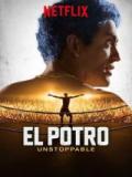 voir la fiche complète du film : El Potro : Unstoppable