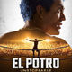 photo du film El Potro : Unstoppable