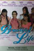 A Beautiful Life